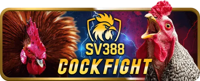 W388BET cam kết dịch vụ hỗ trợ tốt nhất